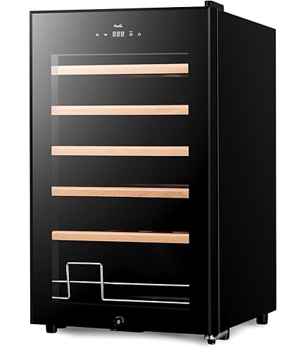 Amazon.co.jp: (VinoLungo) 特別製造 抗酸化セラー ヴィノルンゴSP (4